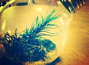 Photo[2]