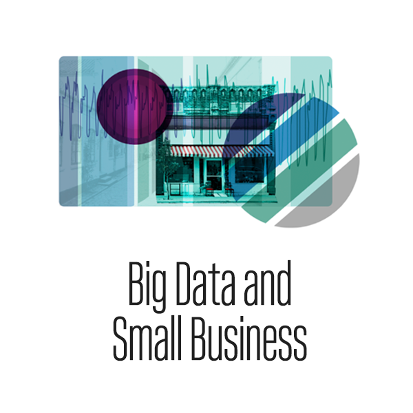 Big Data and Small Business