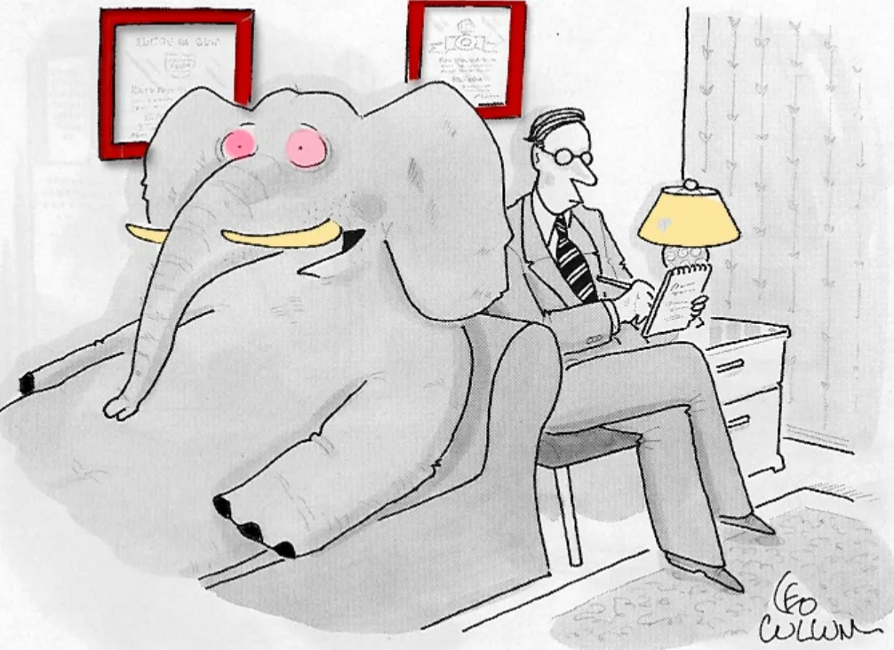 Elephant In The Room